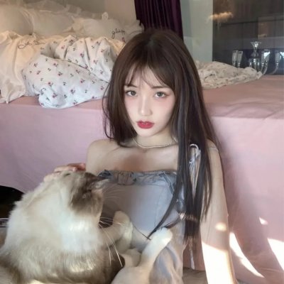 大使阁下的料理人